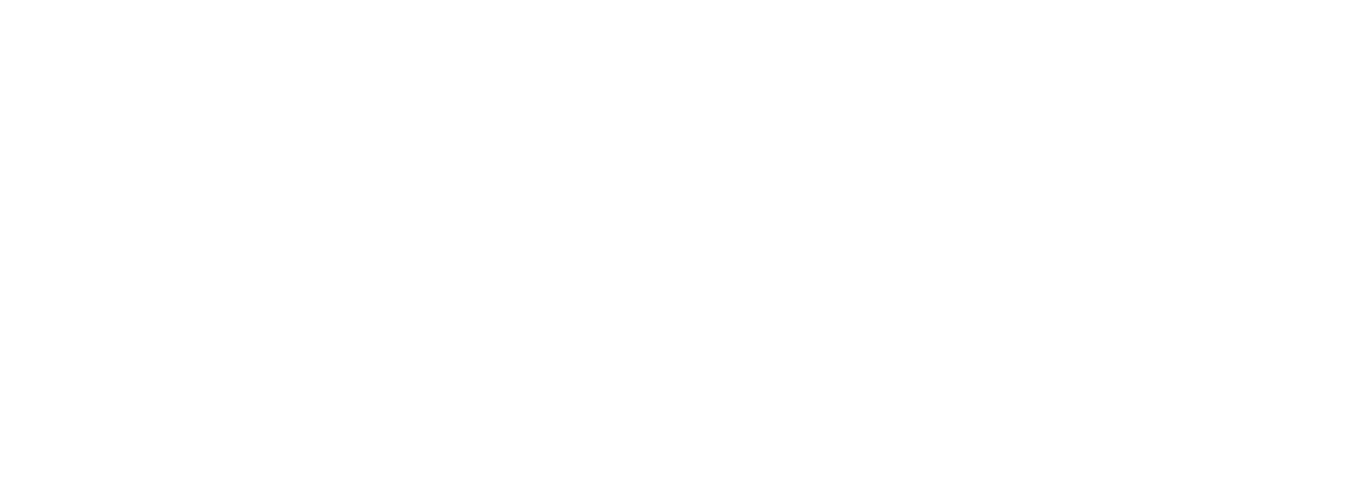 Fries Bespaaradvies